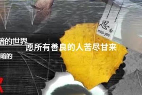 一九六七年出生女性命运解析：探索人生的智慧与魅力
