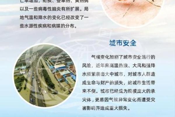 探秘5.2两命背后的奥秘与生活哲学