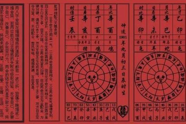 丙辰沙中土命的独特特征与成长之路解析