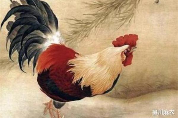 命不带财的生肖特点与财富观念解析