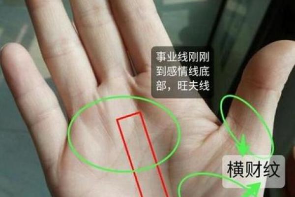 断掌纹男人的命运解析：与众不同的命格之道