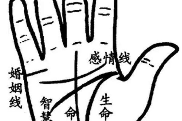 六九年属鸡人的命运解析：财富、事业与情感的三重奏