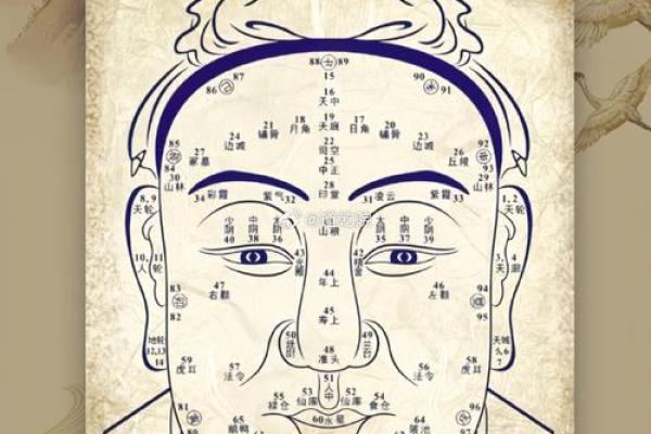 面相学：嘴唇特征与命运解析，揭示你的人生轨迹