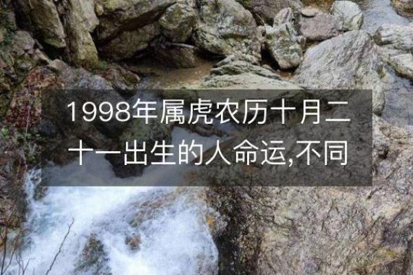 属虎人最忌的星座，命运最差的搭配分析