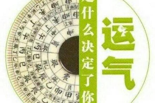 1955年木命的运势与生活哲学探究