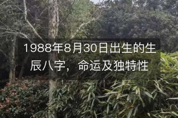 石榴木命与生肖：探寻木与灵魂的深度连接