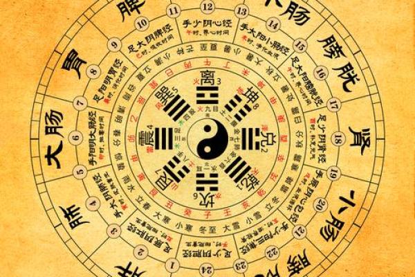 命理揭秘：从五行八字看人生运势的奥秘与启示