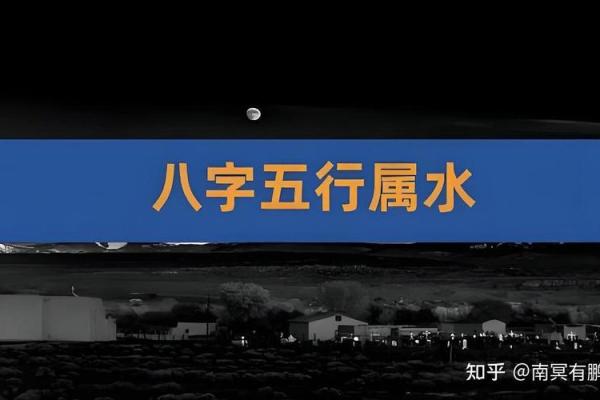 1981年阴历属什么命：掌握五行之道，解读命理玄机
