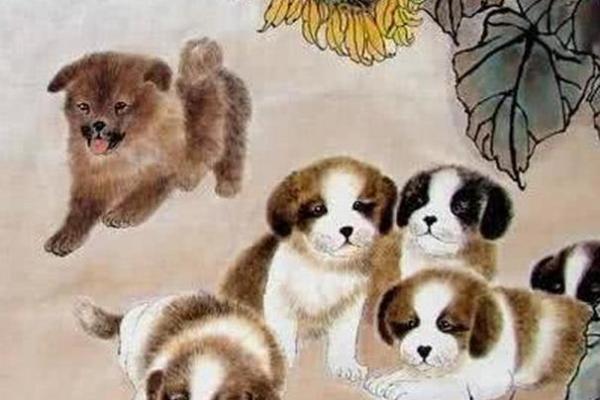 属狗的人是什么命？深入解析生肖狗的命理特征
