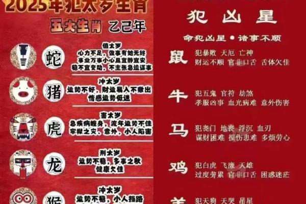 猴子命：八字解析与性格特征，揭示秘诀！