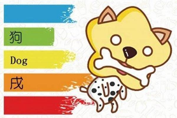 属狗的人是什么命？深入解析生肖狗的命理特征