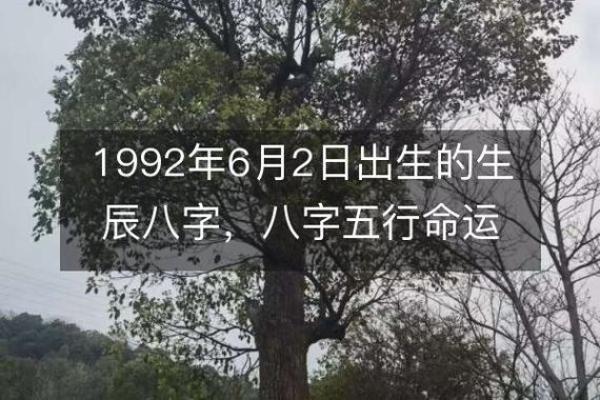探秘参天木命纹身，揭示其深层意义与魅力