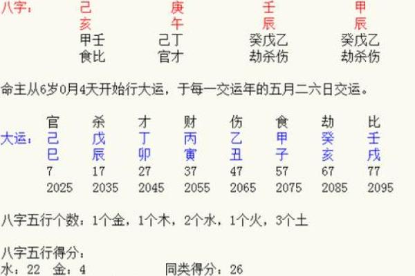 乙亥年属鸡命运解析：安静中崛起的成功之路