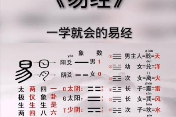 2027年羊属什么命？揭示与羊相关的五行运势与命理秘境！