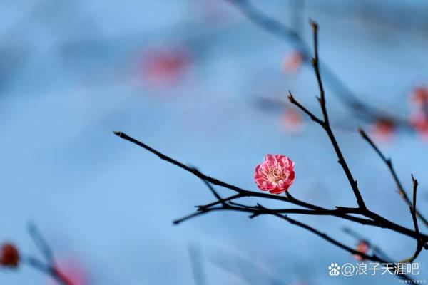 曾仕强：命好靠什么？揭开人生转运的秘密！