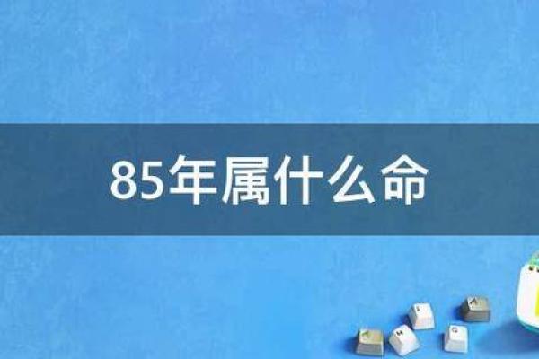 乙丑海中金命解析：缺失元素与命理人生的迷雾