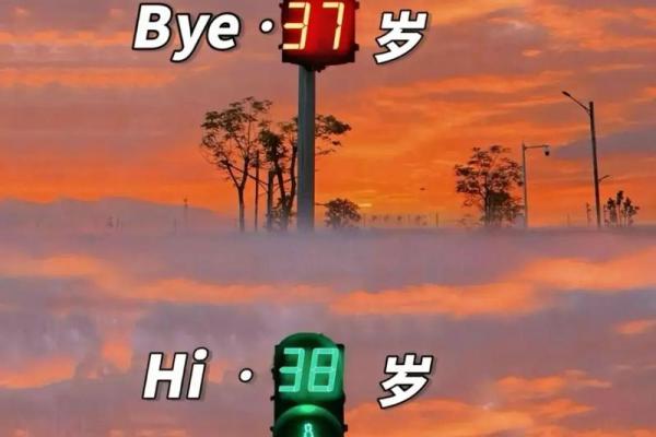 28岁属鸡的命运解析：探寻人生的关键一刻