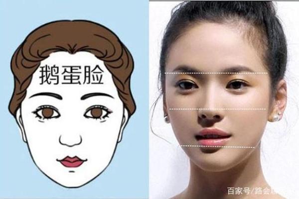 圆脸面相分析：揭示你的性格与命运秘密