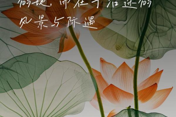 探寻男人通天纹的命理奥秘与人生际遇