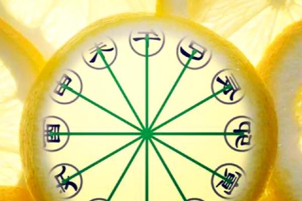 探索丁酉庚戌戊寅己未八字命理的玄妙与奥秘