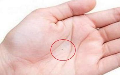 探秘骨相：如何辨识富贵命女的特征与魅力