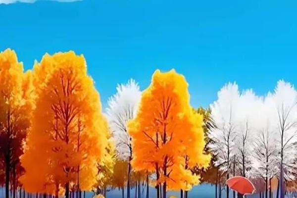 命运交织的音乐旋律：《天注定》深度解析