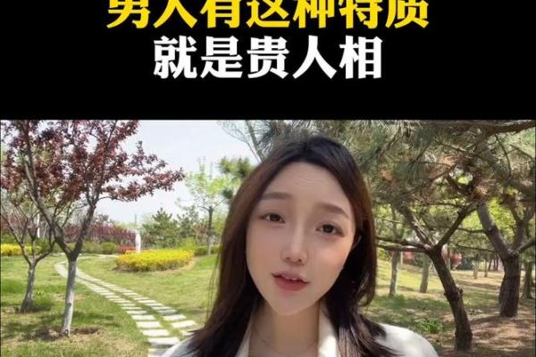 揭秘英雄命格类型：你的英雄特质是什么？