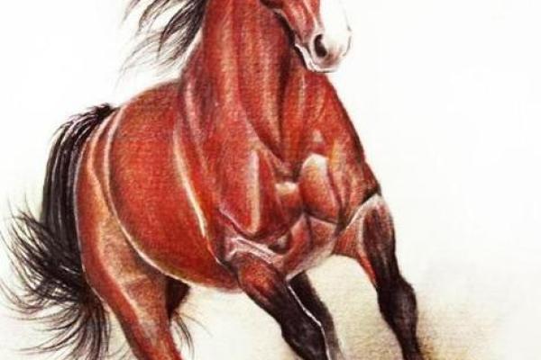 1990年属马的命运解析：探寻人生的方向与意义