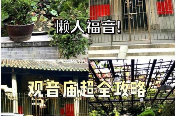 山头火命与供奉菩萨的智慧之旅