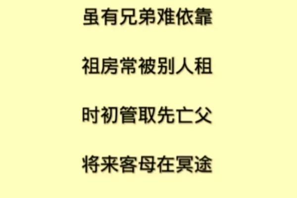 82年人属于什么命？揭秘八字命理的神秘与魅力