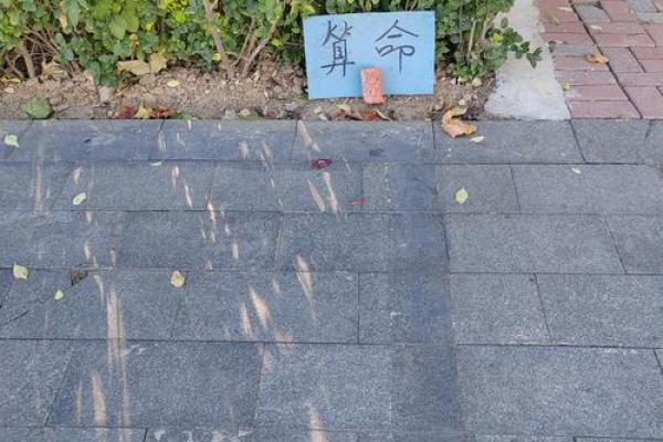 周公算命：牛年出生的人究竟是什么命？解读命运之秘！