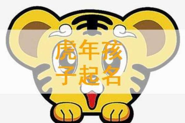 2022年属虎，探寻虎年人命运与性格的奇妙旅程