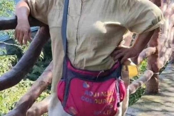 属猪女孩的命运：快乐与挑战并存的人生之旅