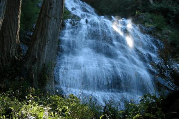1972年男孩的命运解析:揭示生肖猪的神秘力量与人生航向 1972年男孩的命运解析:揭示生肖猪的神秘力量与人生航向