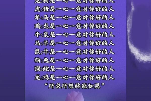 10月属猪人的命运解析：富贵与智慧的交织人生