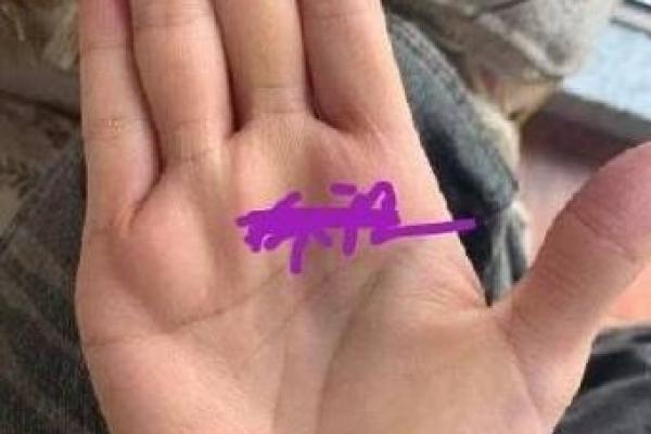 假断掌：揭示你的命运与潜力，了解不一样的自己