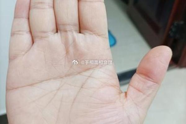 假断掌：揭示你的命运与潜力，了解不一样的自己