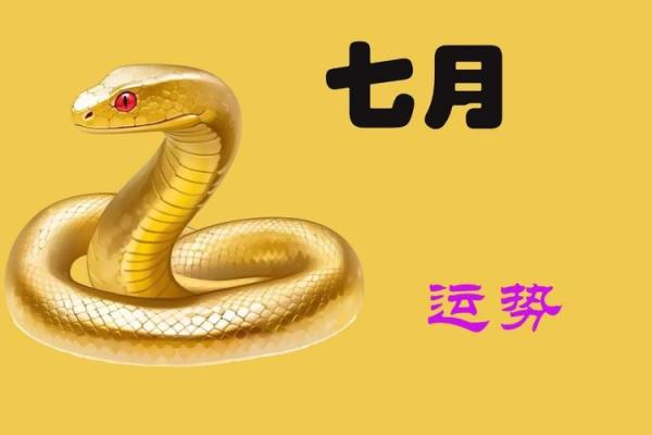 2013年：警惕与机遇并存的蛇年运势解析