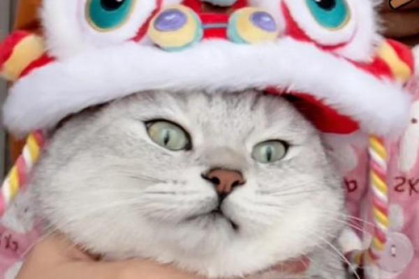 虎年命最佳的婚姻配对，探寻幸福的真谛！