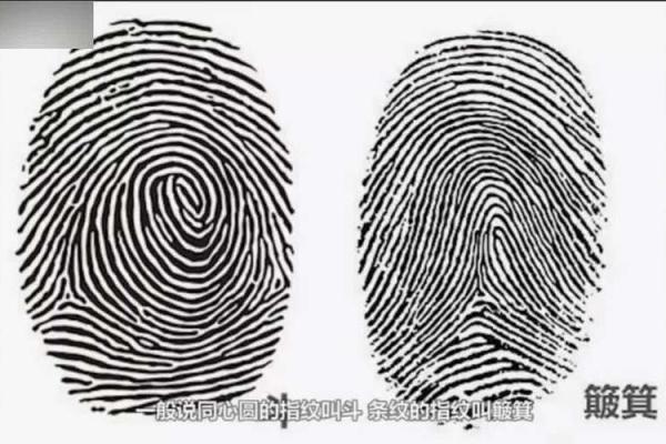 探秘太极命格女人:独特的能量与命运之旅 探秘太极命格女人:独特的能量与命运之旅