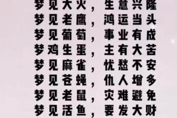 1987年兔命解析：掌握运势，欢庆人生的美好时光