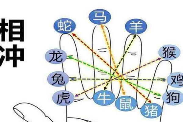 揭秘宫中王爷的生肖与命理，揭开古代王室的神秘面纱