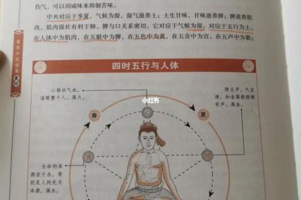 木命的人与五行搭配之道:寻找命运的最佳伴侣 木命的人与五行搭配之道:寻找命运的最佳伴侣