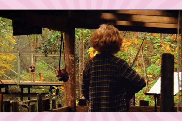 上门牙长的人命运启示：从牙齿看人生的奥秘与运势