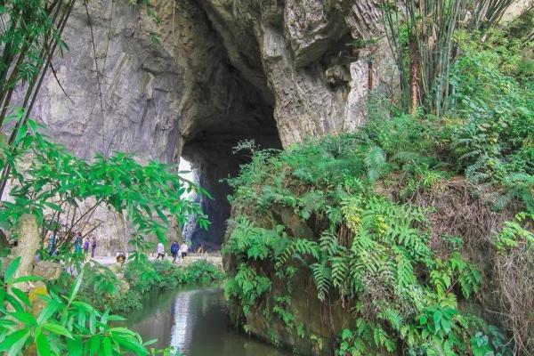 探寻桃花命：爱与缘份的神秘启示