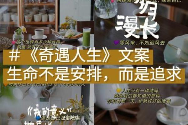 命挺好，人生如逆旅，何不勇敢前行？探讨生命的意义与价值