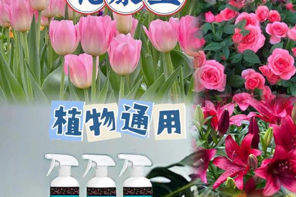 土命纹与神兽的奇妙结合：如何选择最适合的守护兽？