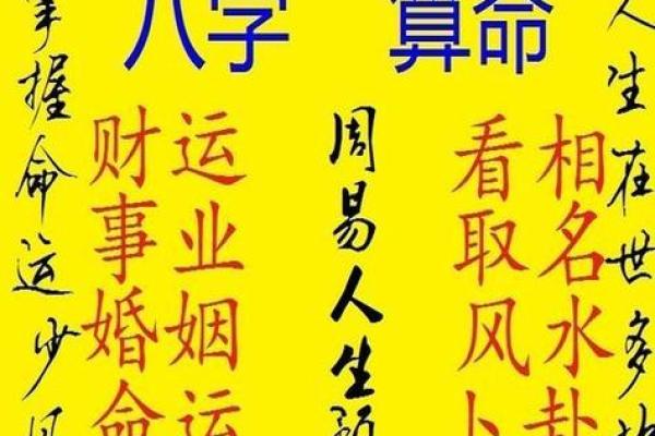 年轻艺人的命格解析：从八字看他们的未来与发展