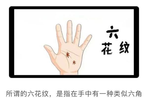 83岁大龙是什么命？探寻命理背后的秘密与启示