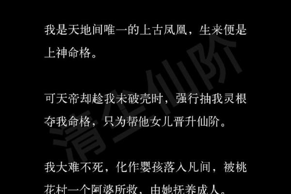 天帝命格解析：助你选择合适的命格搭配